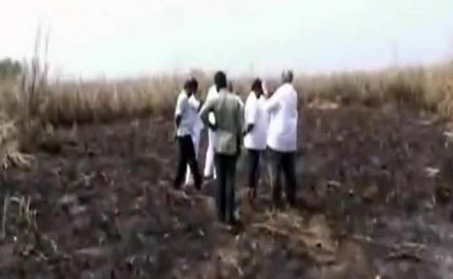 Burnt Crops, Threats Pave Way for New Andhra Pradesh Capital, Activists Allege