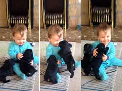 Viral Now: This Cuddle-Fest Between Baby and Puppies is Pure Joy
