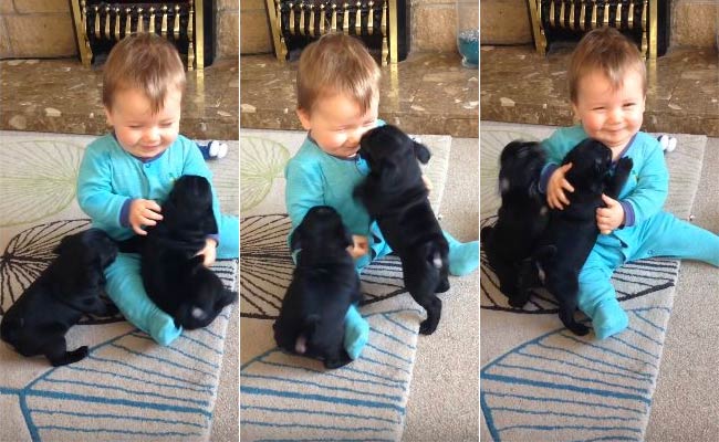 Viral Now: This Cuddle-Fest Between Baby and Puppies is Pure Joy