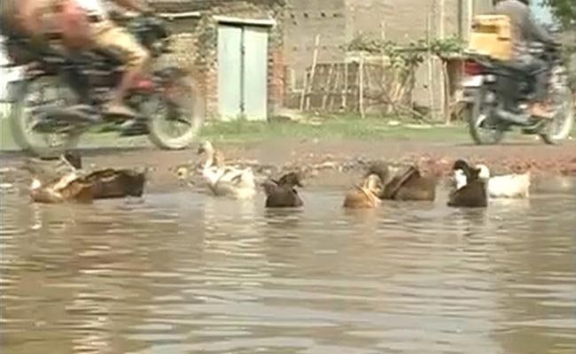 In Election-Bound Bihar, This Key Road is a Duck Pond