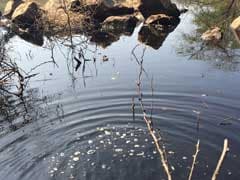 Toxic Pond Threatening Water Supply Near Delhi