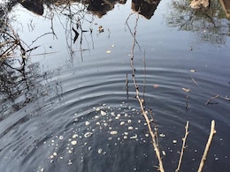 Toxic Pond Threatening Water Supply Near Delhi Toxic Pond Threatening Water Supply Near Delhi