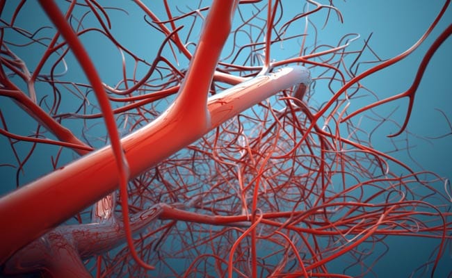 World's First 3D Blood Vessel Bio-Printer Developed