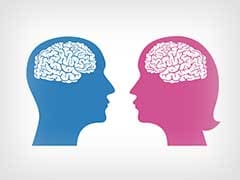 Male and Female Brains Work the Same Way: Study