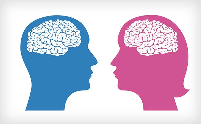 Male And Female Brains Sex Differences In Functional Connectivity