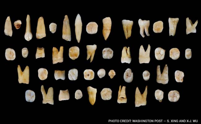 These Ancient Chinese Teeth Could Rewrite Human History