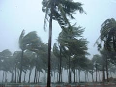 China Typhoon Kills 6, Knocks Out Power as Tornado Snaps Trees