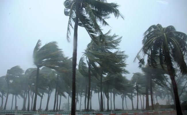 China Typhoon Kills 6, Knocks Out Power as Tornado Snaps Trees