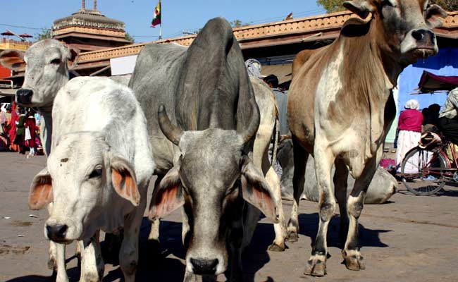 गाय को लात मारते VHP कार्यकर्ताओं की तस्वीर हुई वायरल, संगठन ने दी सफाई