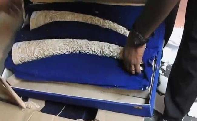 480 kg Ivory Seized From Delhi, at Least 18 Elephants Were Killed For it