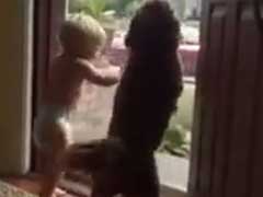 Beyond Happy Baby and Dog do the 'Daddy's Home Dance'