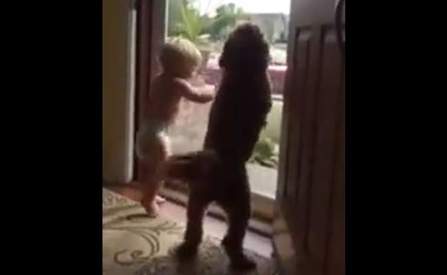 Beyond Happy Baby and Dog do the 'Daddy's Home Dance'