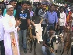 Special Prayers For Pets at This Chennai Church