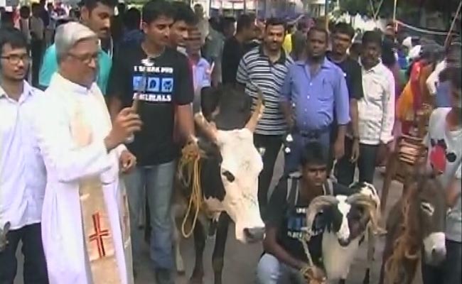 Special Prayers For Pets at This Chennai Church