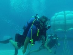 An Underwater Farm that Grows Basil, Strawberries & More