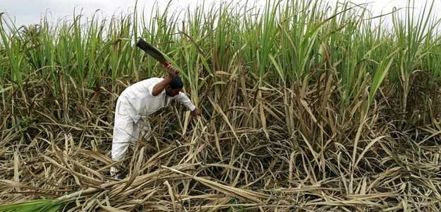 90% Of Farmers Fund Used To Fuel Cars, Not Crops In Madhya Pradesh: CAG