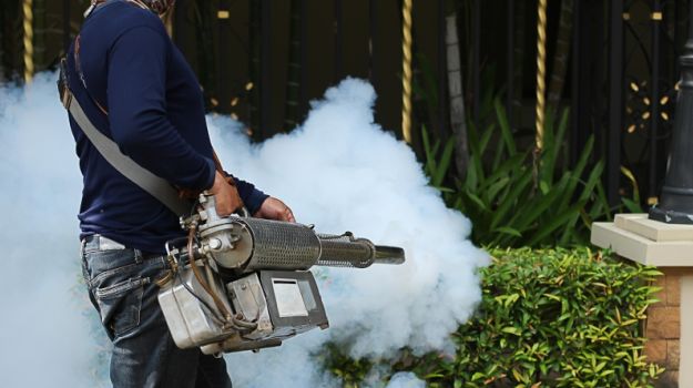 Fogging to Control Dengue May Harm Human Health: CSE