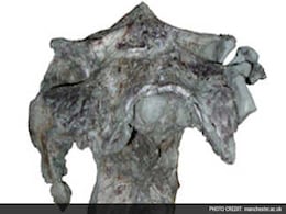 Giant Dinosaur had Tennis Ball-Sized Brain Giant Dinosaur had Tennis Ball-Sized Brain