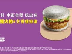 The New Mcdonald's Burger That Everyone is Talking About
