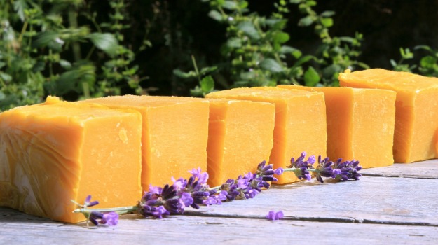 Maharashtra Government Begins Sale of Ayurvedic Medicines & Herbal Products