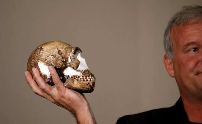 Homo Naledi Adapted to Both Tree Climbing, Walking Upright