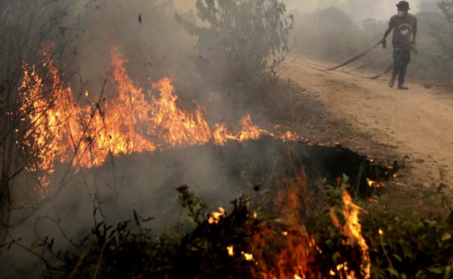 Indonesia Hopes for Rain to Douse Forest Fires Causing Smog in Southeast Asia