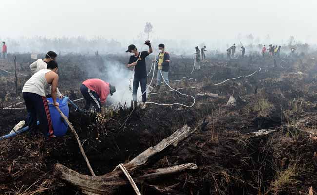 Indonesian Clerics Issue Fatwa Against Intentional Forest Fires