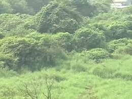 मुंबई : कंजुरमार्ग में मेट्रो कार शेड निर्माण को लेकर उठे विवाद मुंबई : कंजुरमार्ग में मेट्रो कार शेड निर्माण को लेकर उठे विवाद