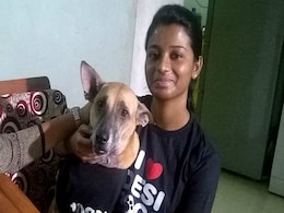 From Stray to Showstopper, This Dog Has Gone Places From Stray to Showstopper, This Dog Has Gone Places