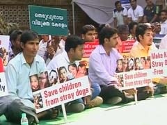 Kerala's Leading Businessman Goes on Hunger Strike Against Street Dogs