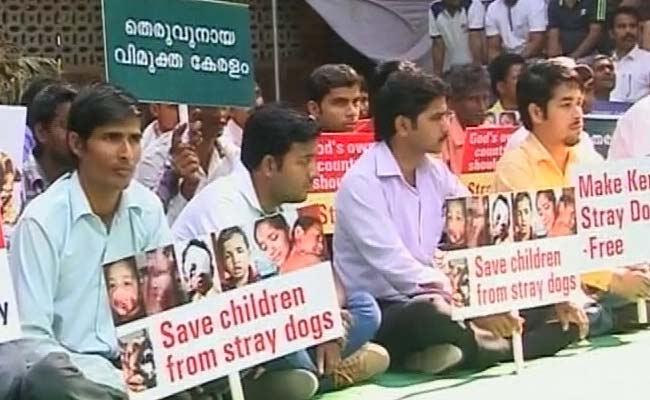 Kerala's Leading Businessman Goes on Hunger Strike Against Street Dogs