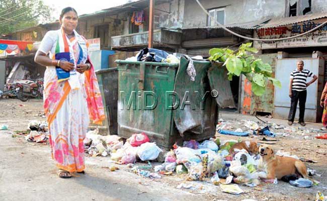 This Ragpicker is Funding Her Own Poll Campaign