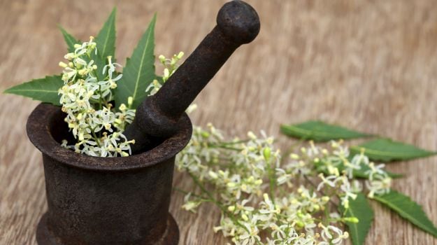 Crushed Neem Flowers