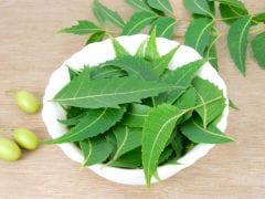 Know Different Ways To Use Neem Leaves For Skin, Hair, Teeth And More
