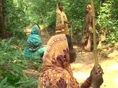 In an Odisha Village, a Bold Conservation Movement by Women