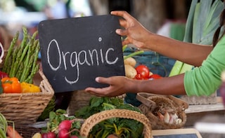 The Problems Facing Organic Farming in India: Study
