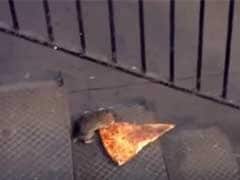 Why your Pizza Rat GIFs are Disappearing off Social Media