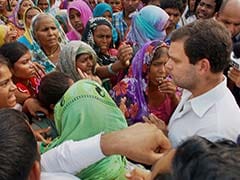 Congress Slams BJP for Calling Rahul Gandhi's Haryana Visit 'Photo-Op'