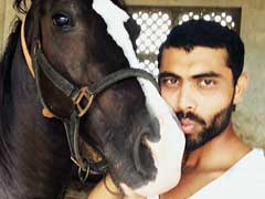 'सर' रवींद्र जडेजा ने टीम इंडिया से आउट होने पर घोड़ों के साथ बिताया समय, टीम में हुई वापसी