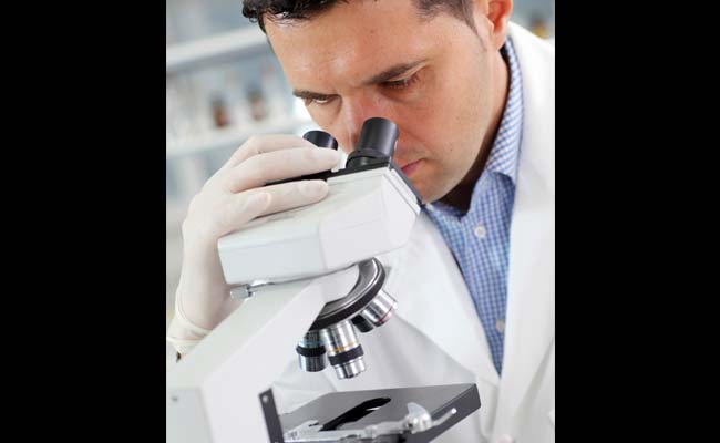 Researchers Find Rare Mineral In Plants For First Time