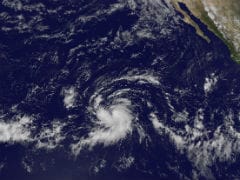 Storm Olaf in Pacific Could Become a Hurricane: US Monitors