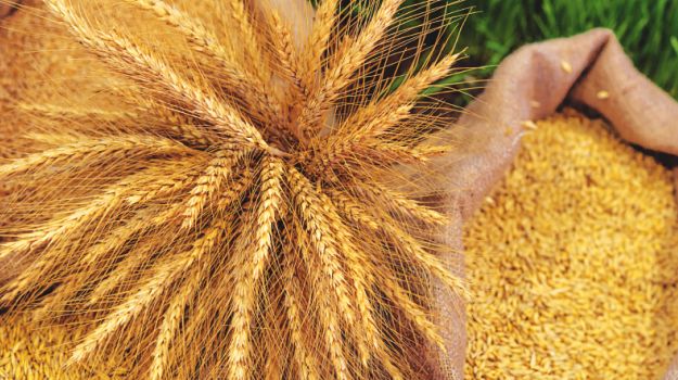 World Food Prices Start 2016 at Near Seven-Year Low