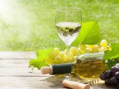 Wines Under Threat as Bordeaux Hit by Rising Temperatures Wines Under Threat as Bordeaux Hit by Rising Temperatures