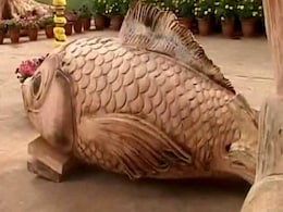 Two-headed Animals, Fish, Bear - New Attractions at Bengaluru's Cubbon Park Two-headed Animals, Fish, Bear - New Attractions at Bengaluru's Cubbon Park