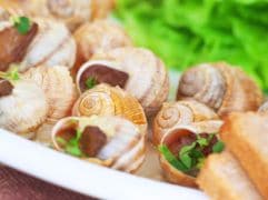 Snail Caviar a Slimy Delight for Sicilian Start-Up Snail Caviar a Slimy Delight for Sicilian Start-Up
