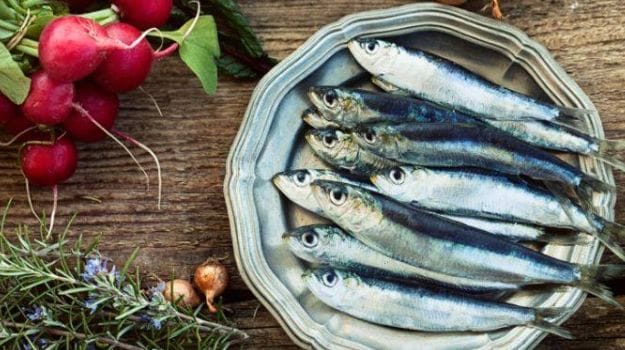 seafood rich in iodine