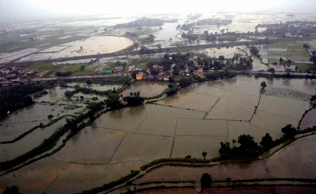 35 Killed in Various Incidents in Andhra Pradesh Due to Heavy Rains