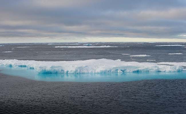 'Death In The Ice': Story Of An Ill-Fated Arctic Expedition