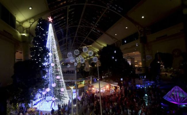 Australian Christmas Tree Sets Record With 518,838 Lights