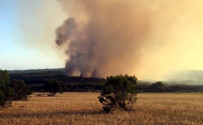 Australia's Bushfires Leave Trail of Death and Destruction